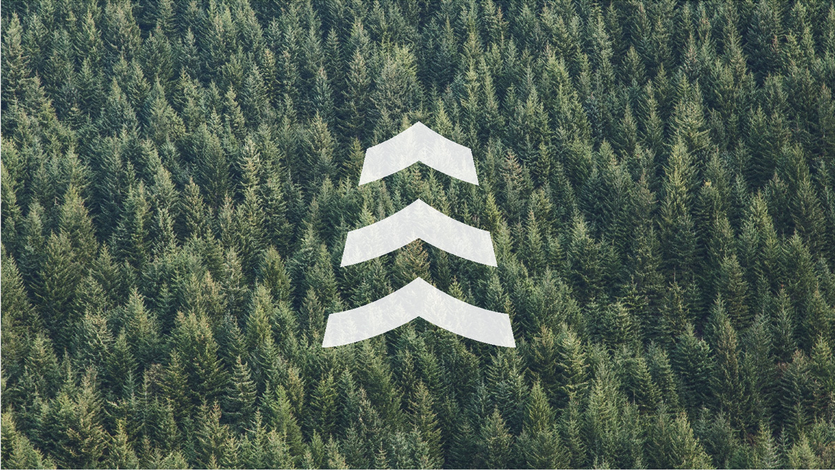 三杉logo符号 三杉logo符号